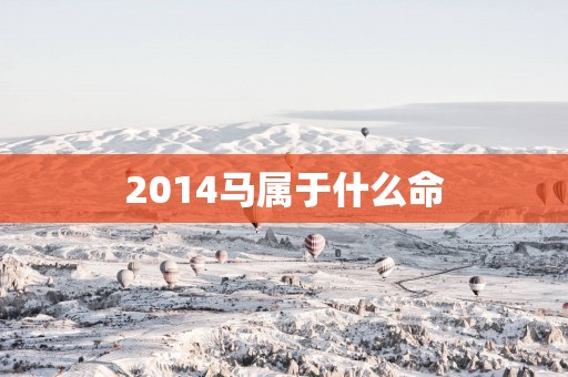 2014马属于什么命