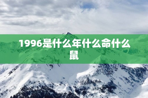 1996是什么年什么命什么鼠