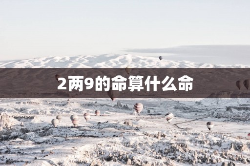 2两9的命算什么命