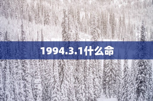 1994.3.1什么命