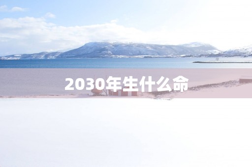 2030年生什么命