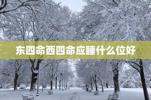 东四命西四命应睡什么位好