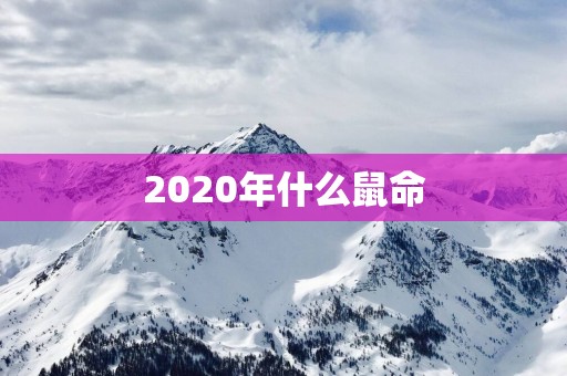 2025年什么鼠命