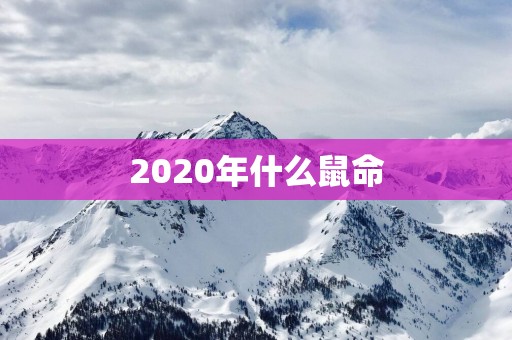 2020年什么鼠命