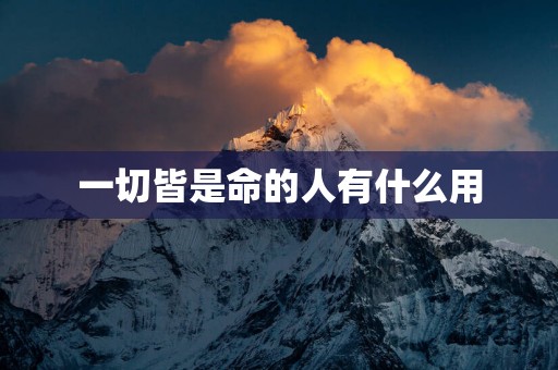 一切皆是命的人有什么用
