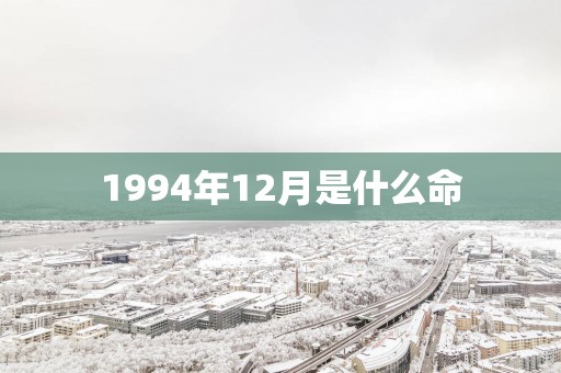1994年12月是什么命