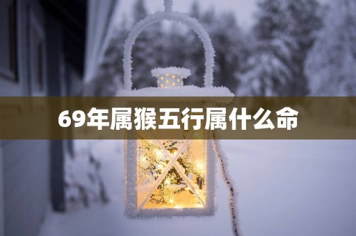 69年属猴五行属什么命