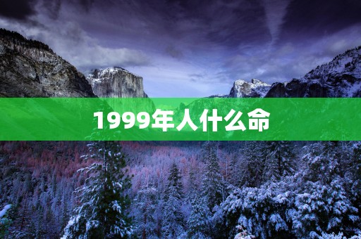1999年人什么命