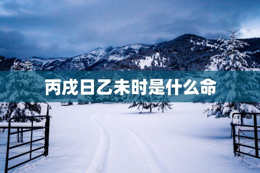 丙戌日乙未时是什么命