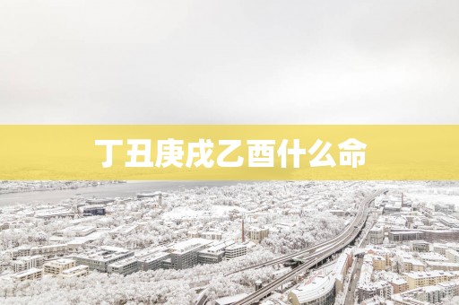 丁丑庚戌乙酉什么命
