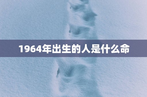 1964年出生的人是什么命