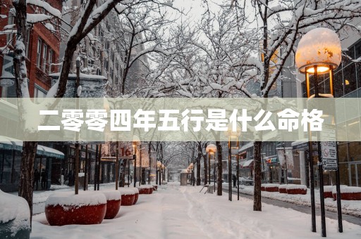 二零零四年五行是什么命格