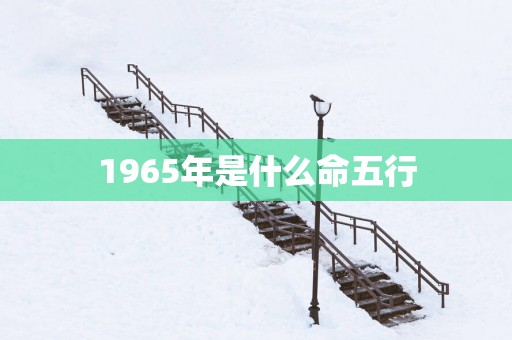 1965年是什么命五行 1965年是什么命五行