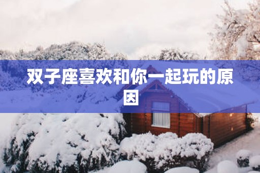 双子座喜欢和你一起玩的原因