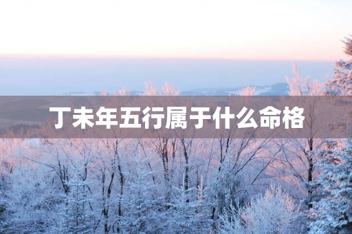 丁未年五行属于什么命格