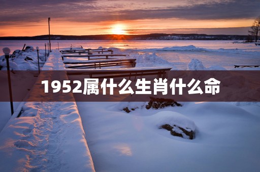 1952属什么生肖什么命