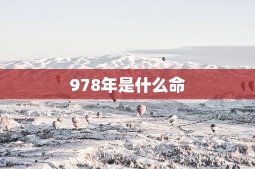 978年是什么命