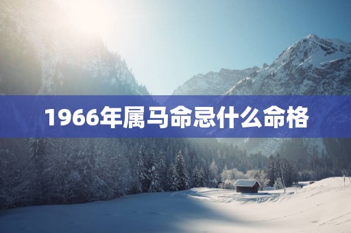 1966年属马命忌什么命格