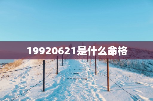 19920621是什么命格
