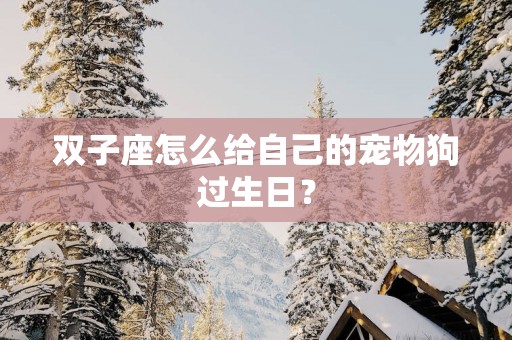 双子座怎么给自己的宠物狗过生日？