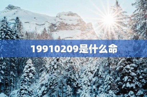 19910209是什么命