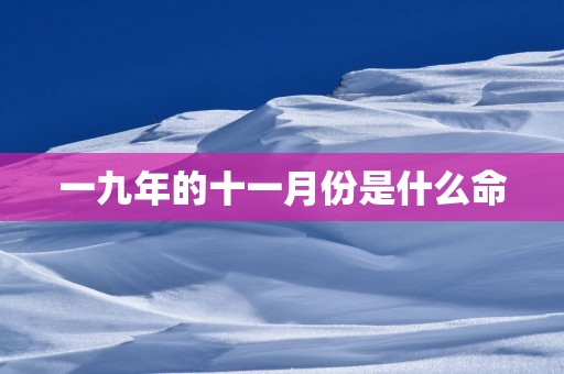 一九年的十一月份是什么命