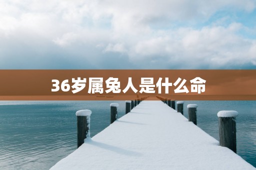 36岁属兔人是什么命