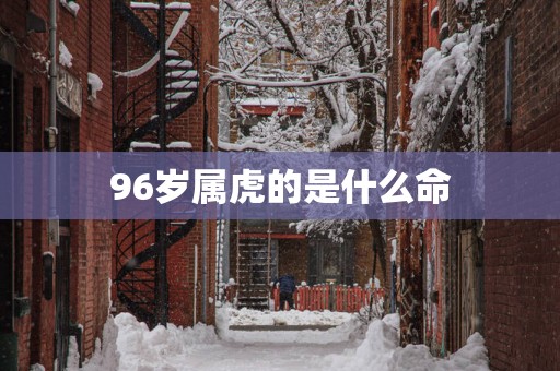 96岁属虎的是什么命