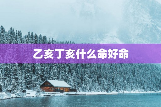 乙亥丁亥什么命好命