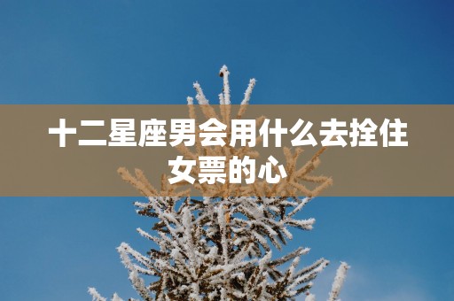十二星座男会用什么去拴住女票的心