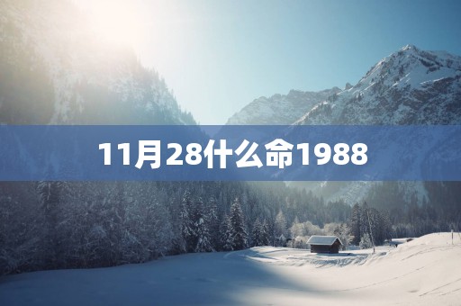 11月28什么命1988