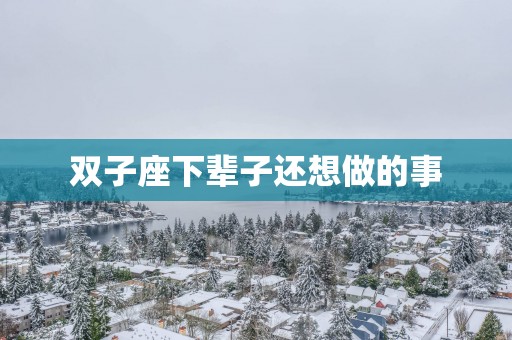 双子座下辈子还想做的事