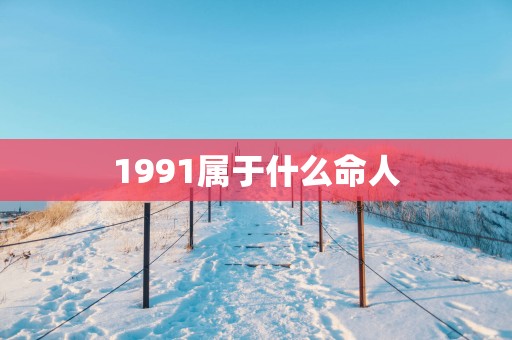 1991属于什么命人