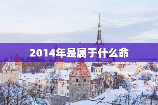 2014年是属于什么命