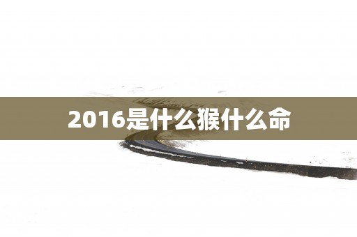 2016是什么猴什么命
