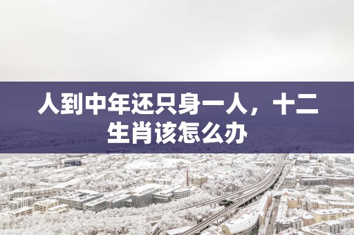 人到中年还只身一人，十二生肖该怎么办