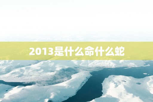 2013是什么命什么蛇