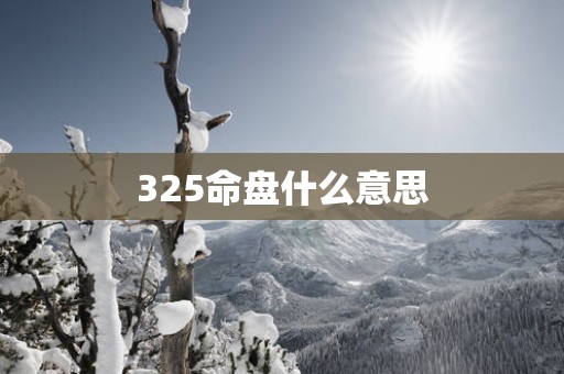 325命盘什么意思