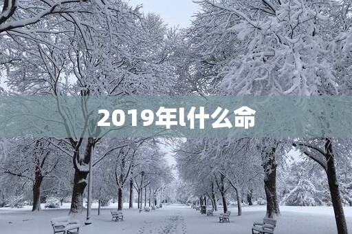 2019年l什么命