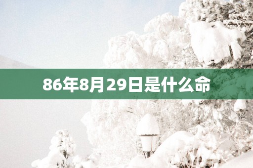86年8月29日是什么命