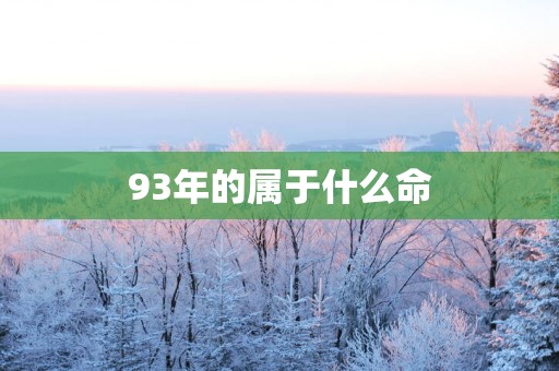 93年的属于什么命