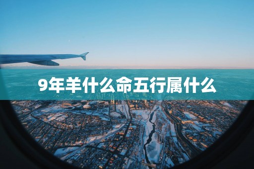 9年羊什么命五行属什么