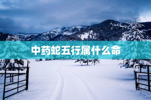 中药蛇五行属什么命