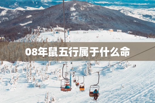 08年鼠五行属于什么命
