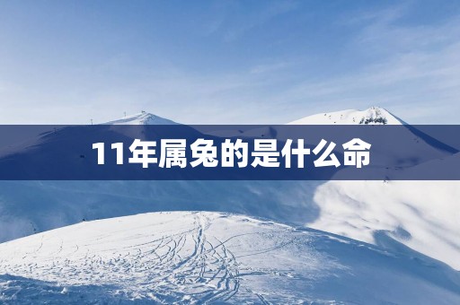 11年属兔的是什么命