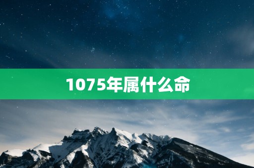 1075年属什么命