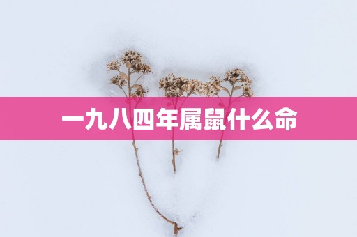一九八四年属鼠什么命