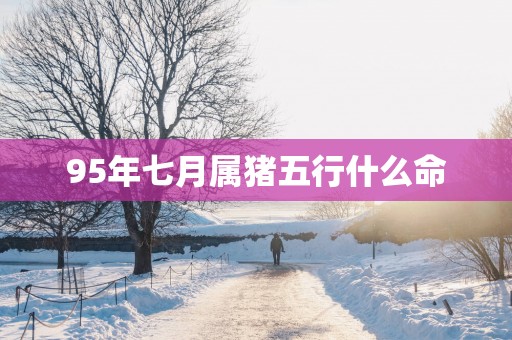 95年七月属猪五行什么命