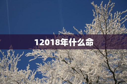 12018年什么命