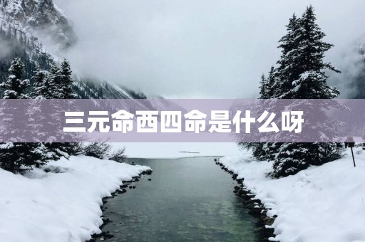 三元命西四命是什么呀